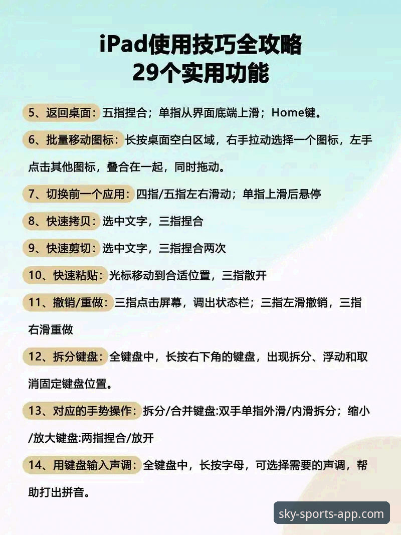 天空体育实时数据应用教程——从入门到精通的使用指南